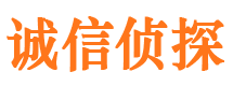 措勤市侦探调查公司